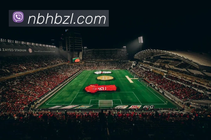 奖项证书